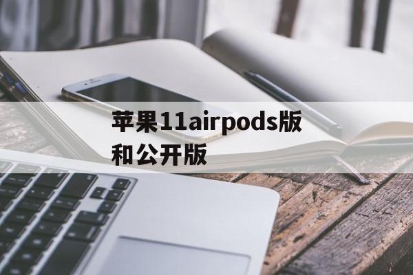 苹果11airpods版和公开版(苹果11公开版和airpods套装版区别)-第2张图片-有道翻译官网