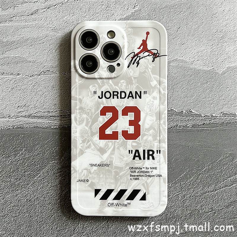 球星苹果标准版和pro版(球星版和球迷版)-第3张图片-有道翻译官网